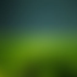 07-16 Gương Chờ Đợi Của Người Làm Nông
