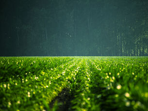 Project Drawdown: impact on sustainable agriculture and economic equality