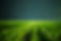 Green Field