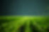Green Field