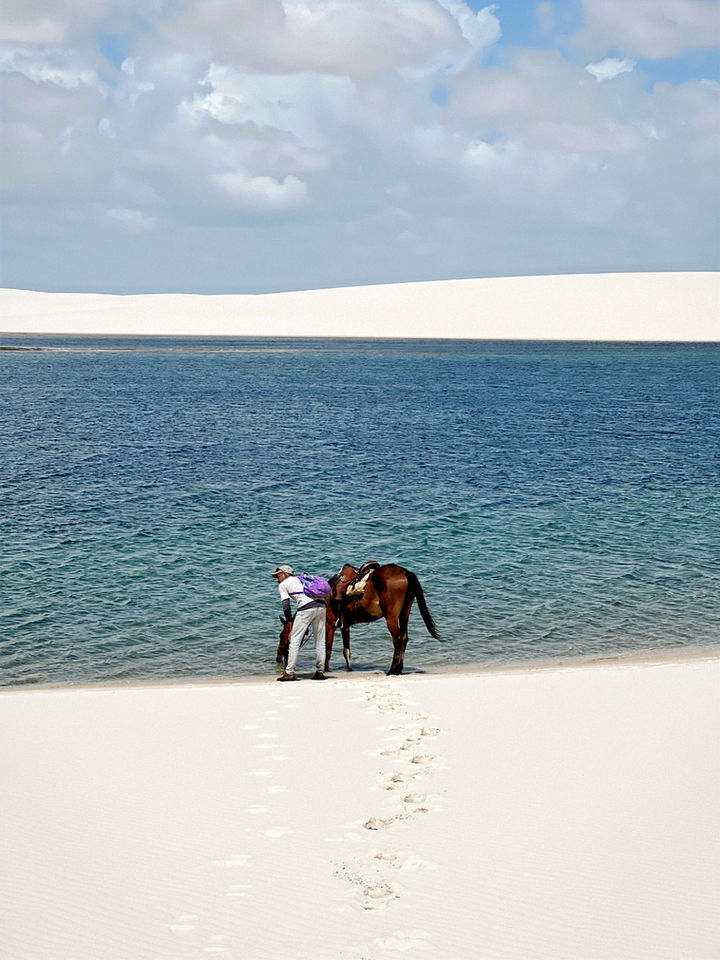 cavalo bebendo numa lagoa dos Lençóis Maranhenses