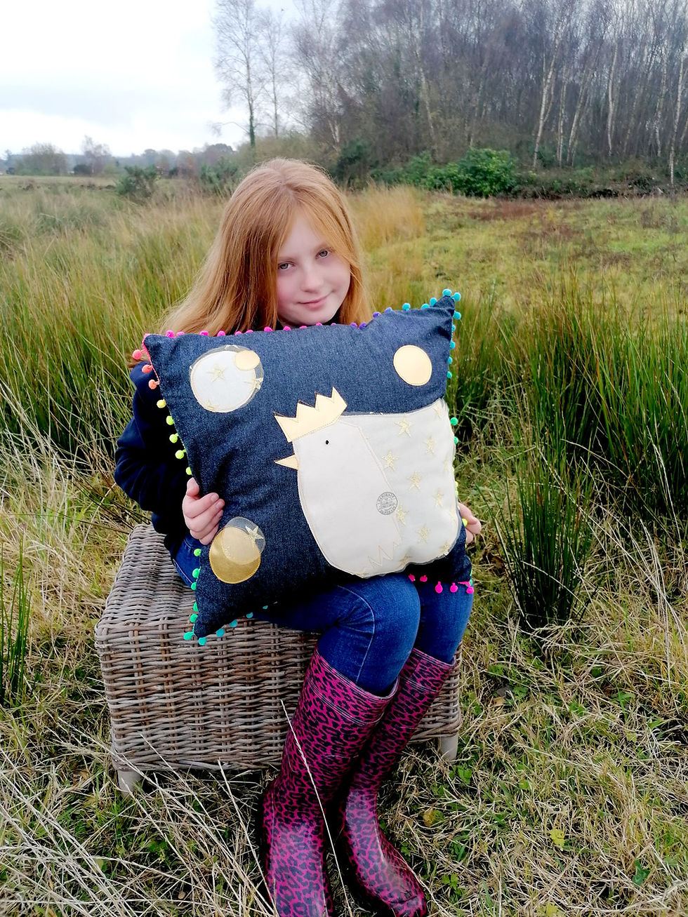 Thumbnail: Henny Penny 100% Cotton Denim Cushion