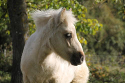 387081830_811410214321006_5515312143480651384_n