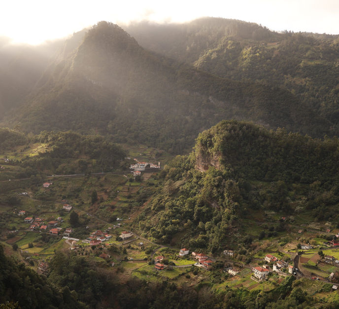 Family photography surrounded by greenery in Ribeiro Frio