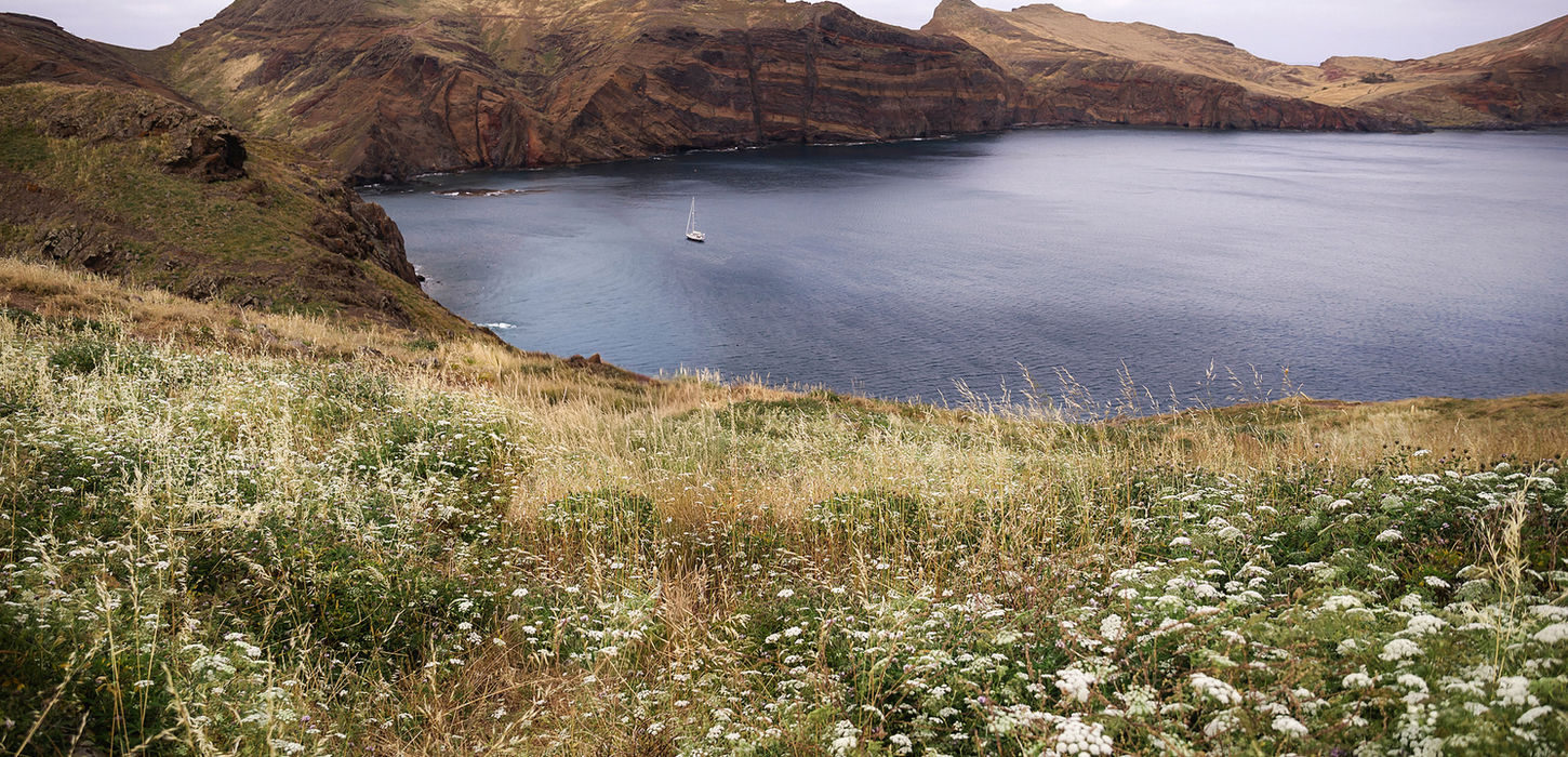 Ponta de São Lourenço in Madeira coastal landscape