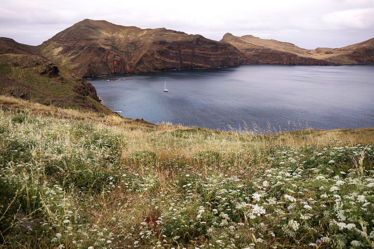 Ponta de São Lourenço in Madeira coastal landscape