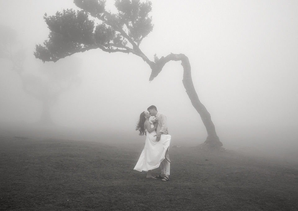Couple embracing beneath ancient laurel trees in the misty Fanal Forest, Madeira