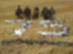 Trophy Treks - Waterfowl