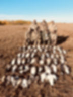 Trophy Treks - Waterfowl