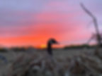 Trophy Treks - Waterfowl