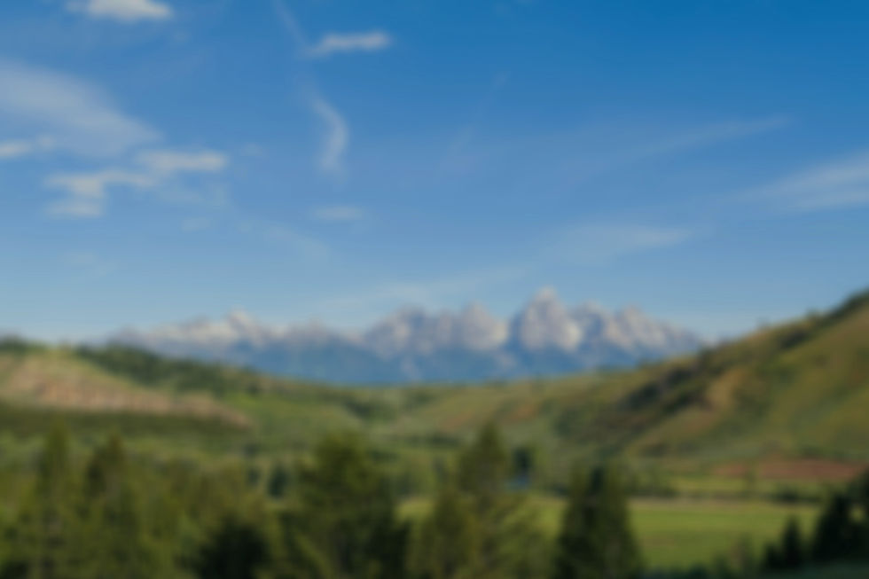 Vorteile moderner Lüftungssysteme – energieeffiziente Frischluft, Wärmerückgewinnung und Schimmelschutz für gesundes Raumklima