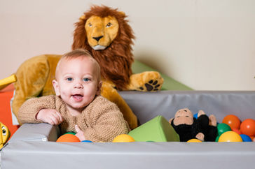 Balll pit jungle theme, with lion. Yellow, Green, Blue and Orange balls.