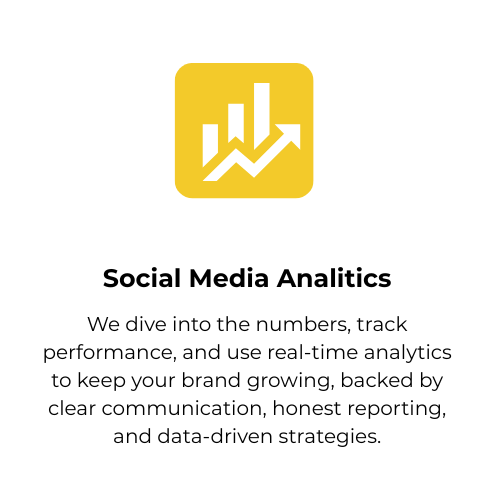 ANALYTICS 2ND variation.png