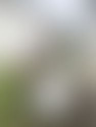 A man in sunglasses examines a white generator with an open lid in a grassy backyard, between two buildings. It's a cloudy day.