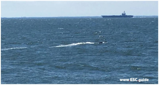 20/10/21: THE NATIONAL NEWS