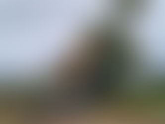 01/11/22: Meet the new Menzi Muck