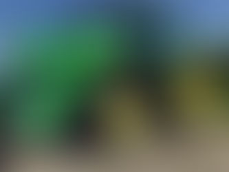 08/06/17: Barber Surf Rake Demo