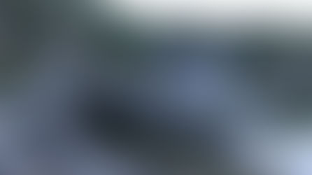 28/12/15: This Amazing Boat Crawls Up The Beach