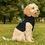 Thumbnail: Pray For the Crips And Bloods - Pet Hoodie