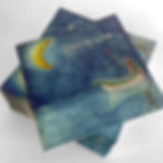 Dans la Lune, livre jeunesse, Livres