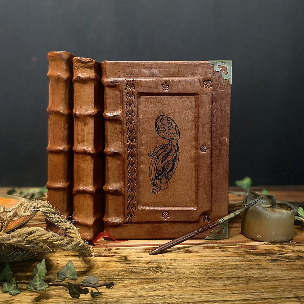 Nemo - grimoire cuir