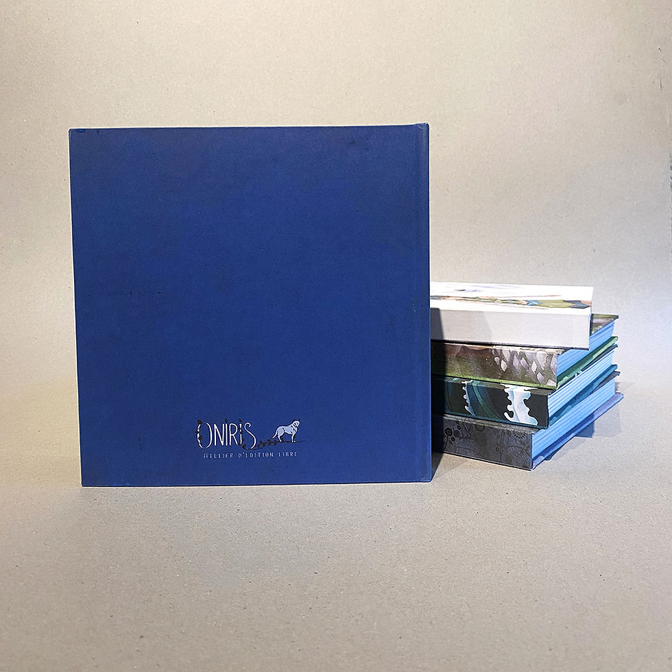 Miniature : Sous le ciel étoilé - Carnet refuge