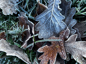 The Beauty of Surrendering to Motherhood: Lessons from 2025