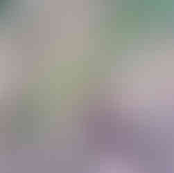 door tree winnie the pooh