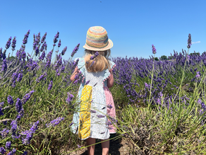 girl in lavender field