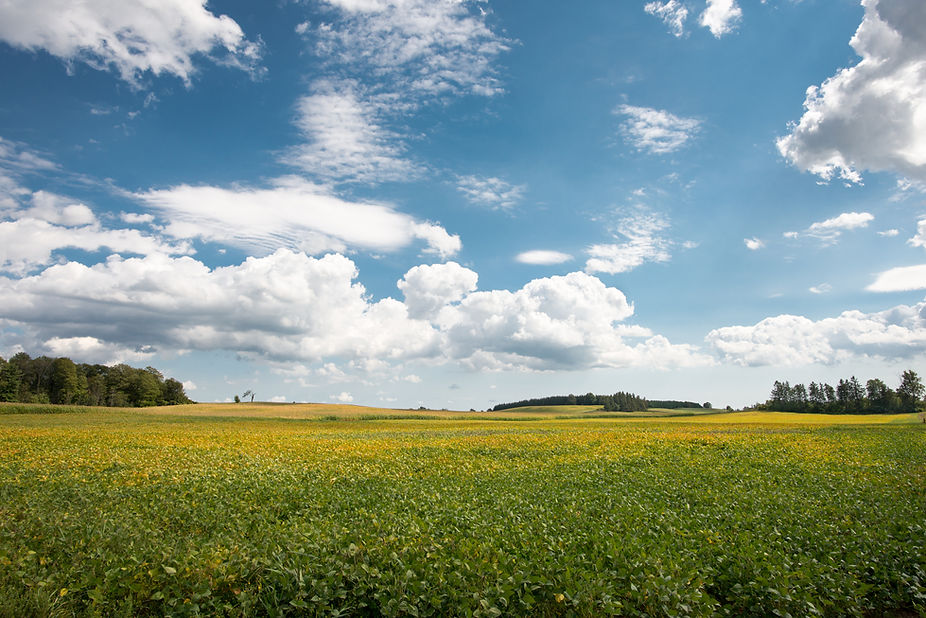iStock-1340370864.jpg