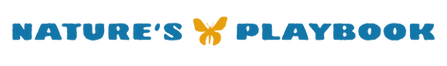 2_edited.png