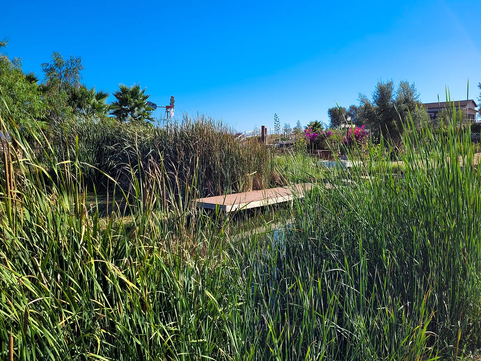 Lago Cava Dragón.jpg