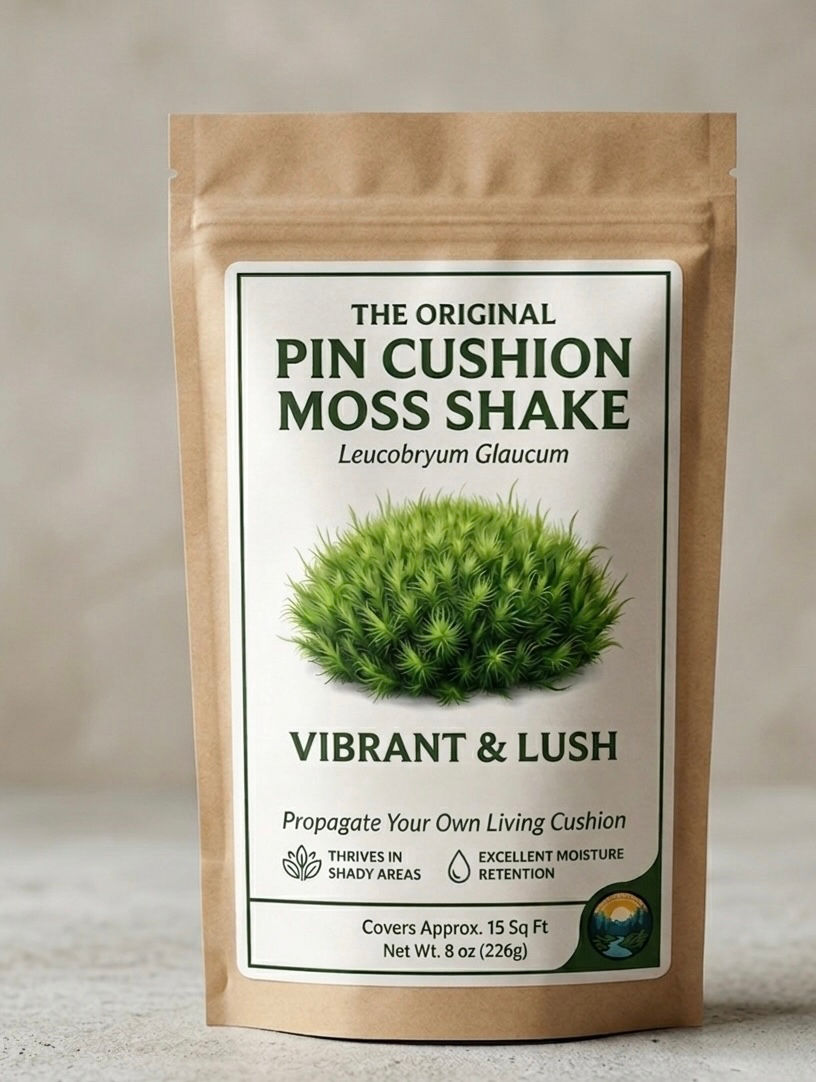 The Original Cushion Shake (Leucobryum glaucum)