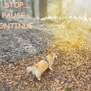 STOP, PAUSE, CONTINUE......