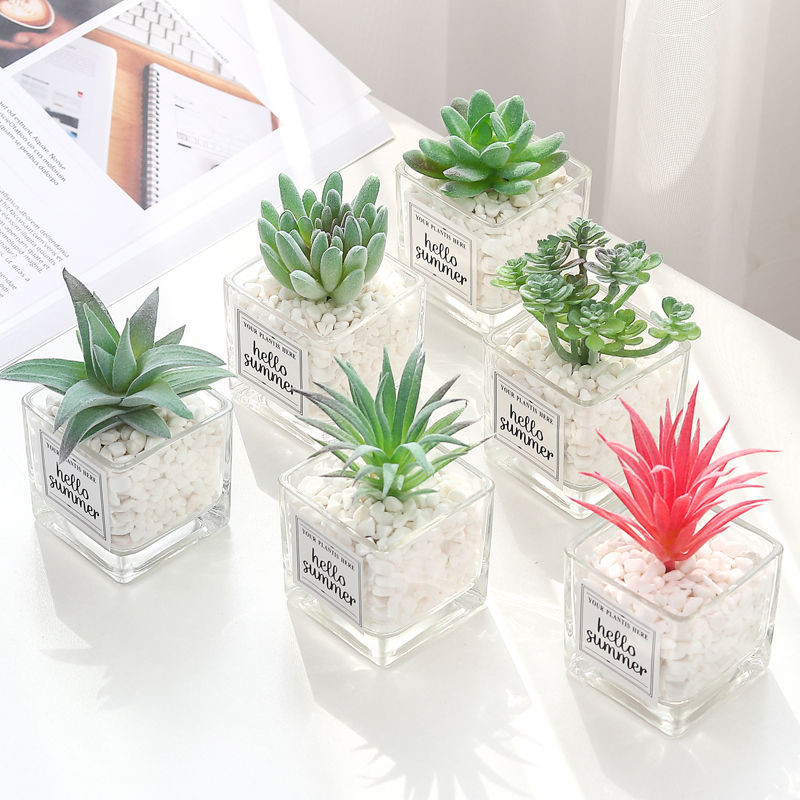 Miniature : Nordic Simulation Mini Succulent Plant Potted Plant Creative Stone Glass Bottle