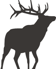 Deer Silhouette
