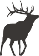 Deer Silhouette