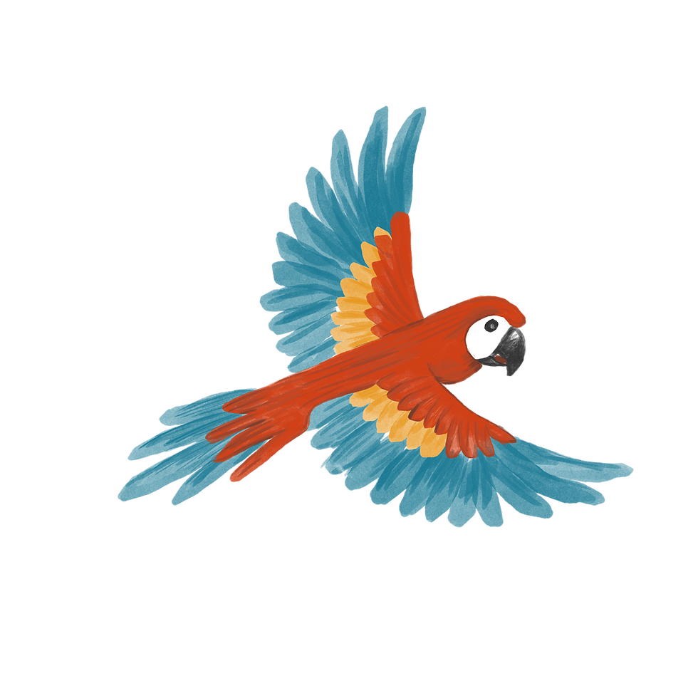 ARARA copy.png