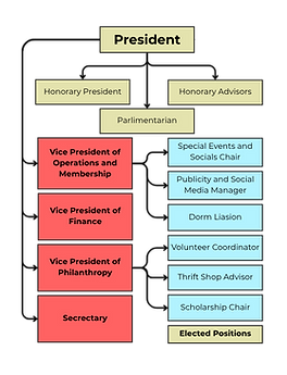 Position Flow Chart.png