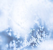 Frost