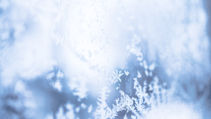 Týden 6.1. - 12.1.2025