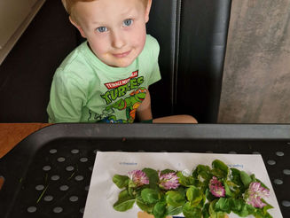 Flowery Craft for Kids