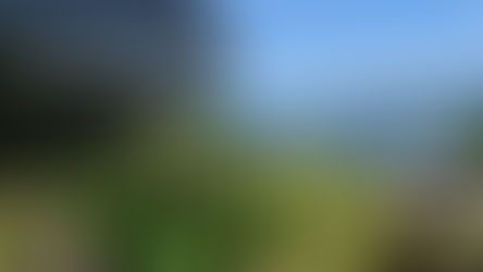 Tempo Traveller on rent in Dehradun