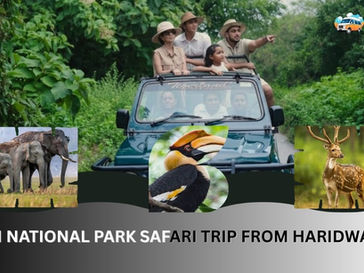 Rajaji National Park Safari Trip from Haridwar