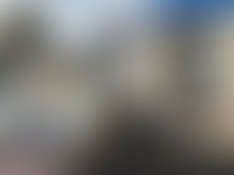 Are single-family houses or multifamily better investments?