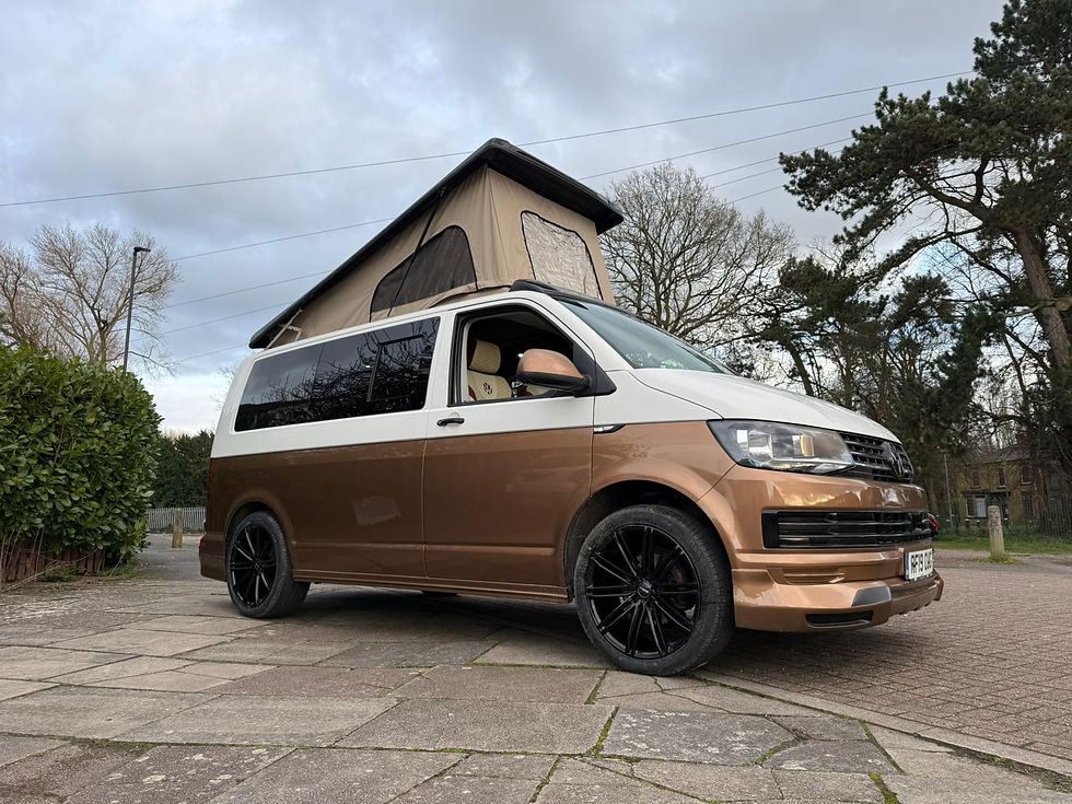 VW TRANSPORTER T6 SWB RF19