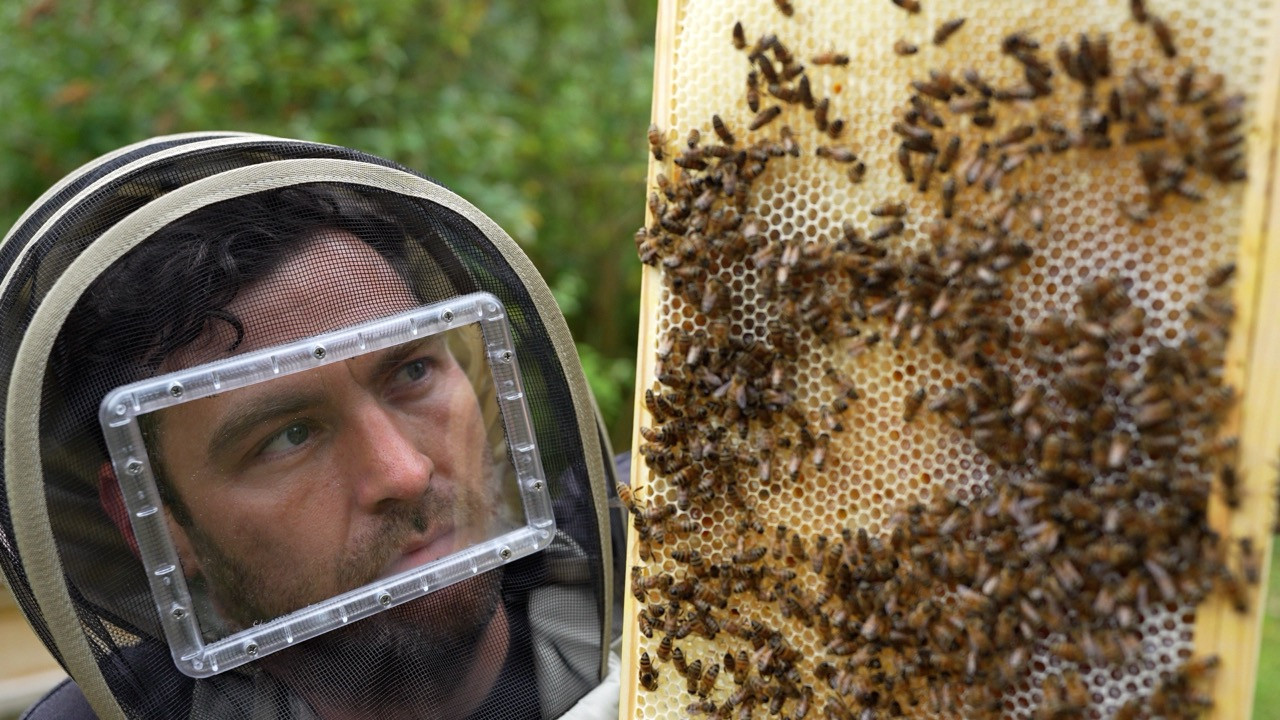 Introducing Customer Case Studies