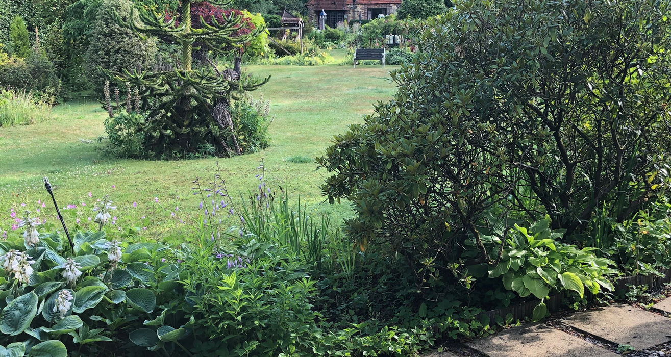 Green garden, stone path, lush plants, and a distant rustic house.