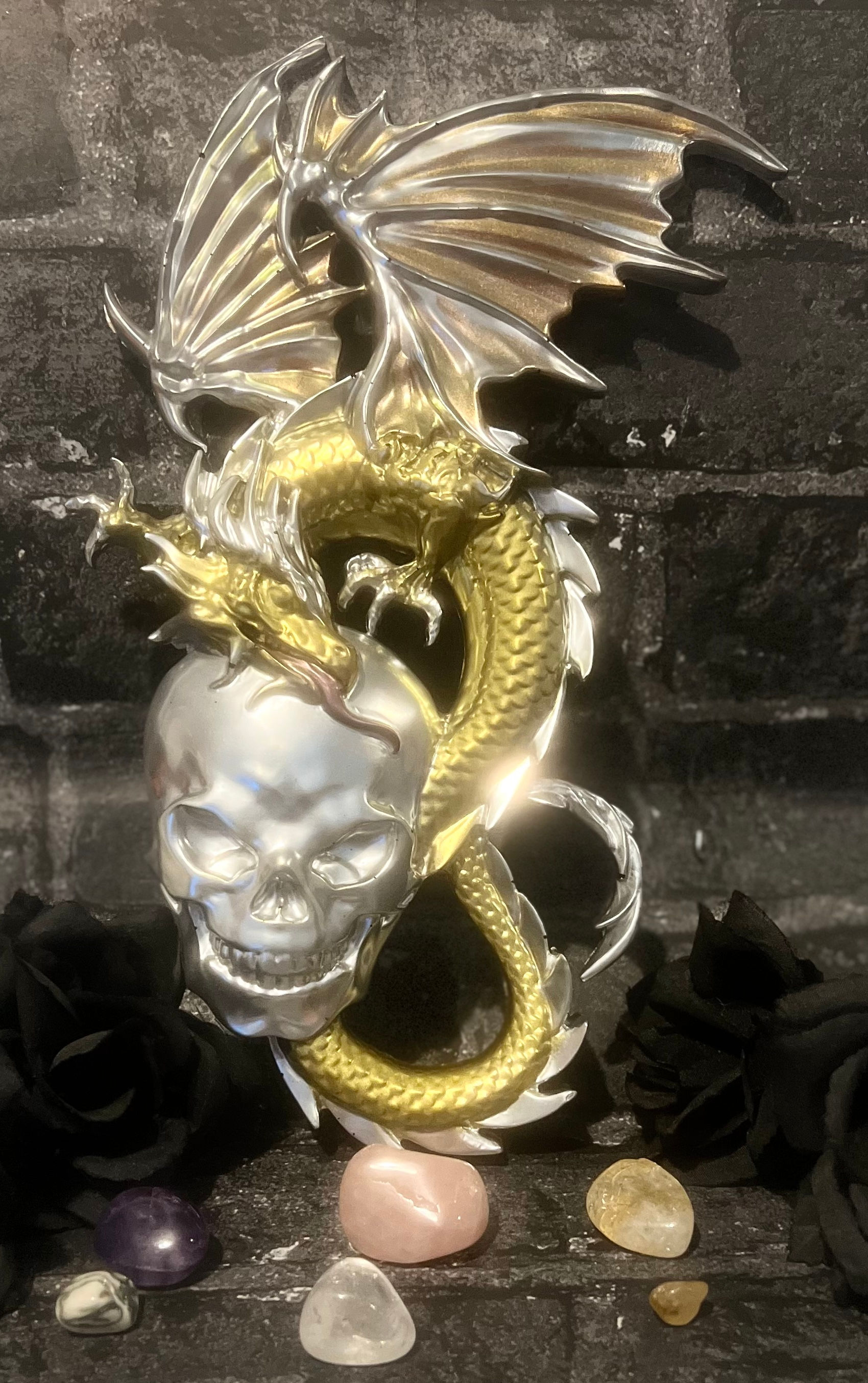 Skull & Dragon 