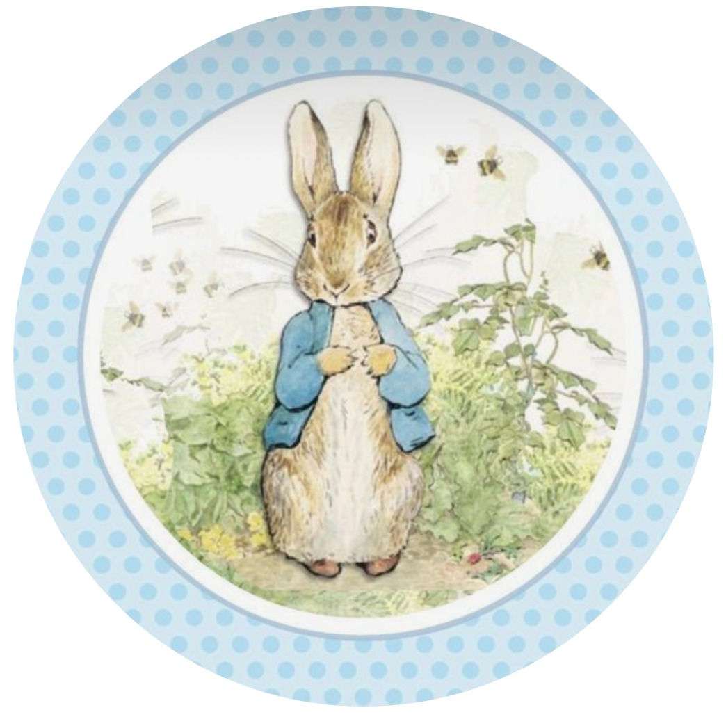 Peter Rabbit Cake Topper